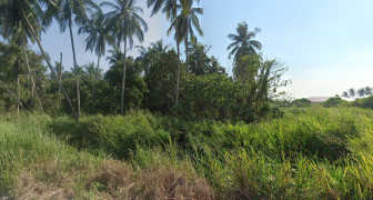 2.3 Acre Agricultural Land for Rent in Telok Gong